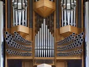 organ