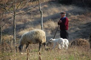 Photograph by Feliciano Guimarães acquired through Wikimedia Commons. Accessible here. 